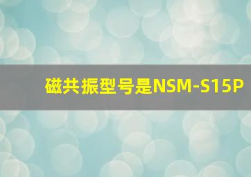 磁共振型号是NSM-S15P