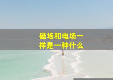 磁场和电场一样是一种什么