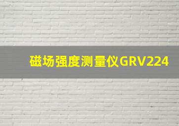 磁场强度测量仪GRV224