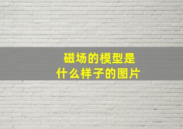 磁场的模型是什么样子的图片