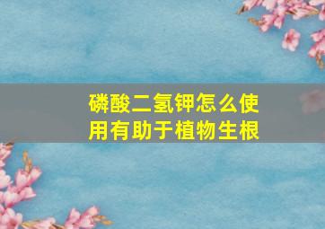 磷酸二氢钾怎么使用有助于植物生根