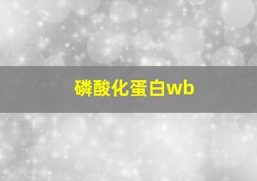 磷酸化蛋白wb