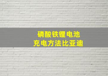 磷酸铁锂电池充电方法比亚迪