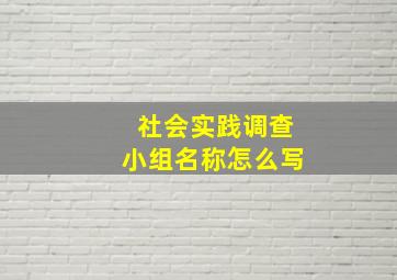 社会实践调查小组名称怎么写