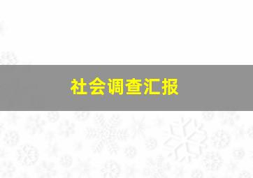 社会调查汇报