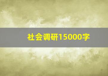 社会调研15000字