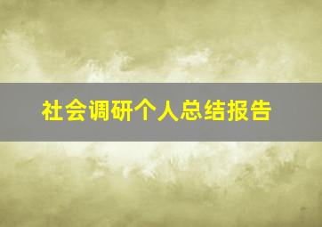 社会调研个人总结报告