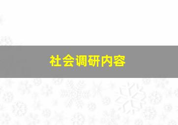 社会调研内容