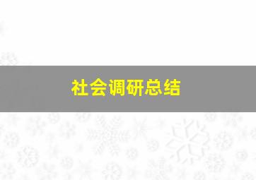 社会调研总结