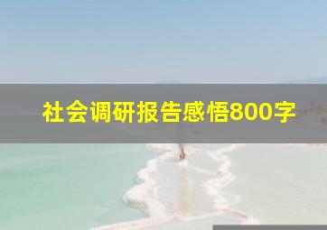 社会调研报告感悟800字