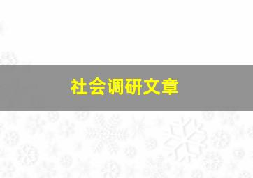 社会调研文章