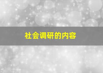 社会调研的内容