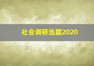 社会调研选题2020