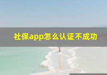 社保app怎么认证不成功