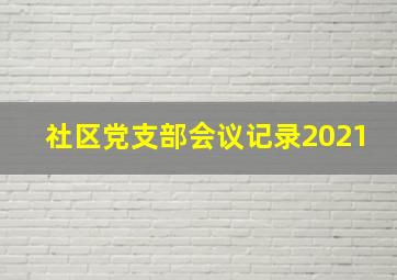 社区党支部会议记录2021