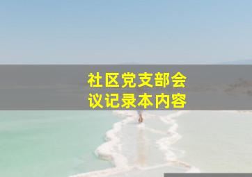 社区党支部会议记录本内容