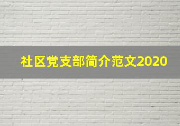 社区党支部简介范文2020