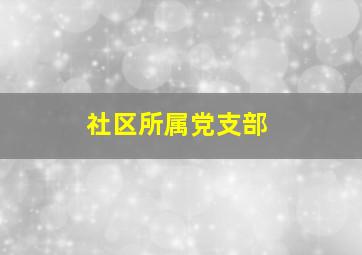 社区所属党支部