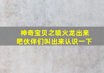 神奇宝贝之喷火龙出来吧伙伴们叫出来认识一下