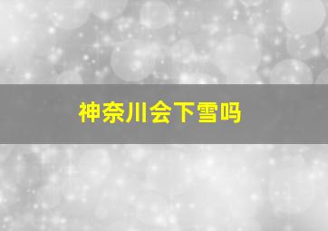 神奈川会下雪吗