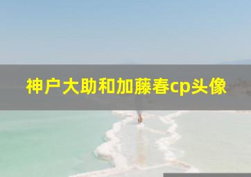 神户大助和加藤春cp头像