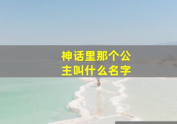 神话里那个公主叫什么名字