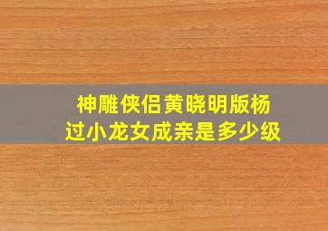 神雕侠侣黄晓明版杨过小龙女成亲是多少级