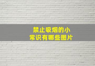 禁止吸烟的小常识有哪些图片