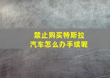 禁止购买特斯拉汽车怎么办手续呢