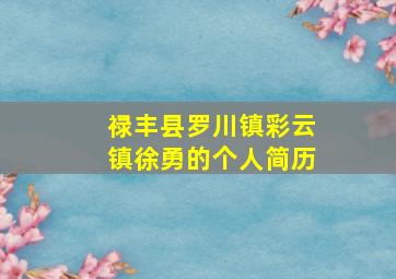 禄丰县罗川镇彩云镇徐勇的个人简历