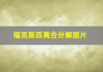 福克斯双离合分解图片