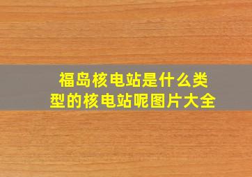 福岛核电站是什么类型的核电站呢图片大全