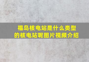 福岛核电站是什么类型的核电站呢图片视频介绍