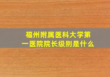 福州附属医科大学第一医院院长级别是什么