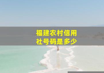 福建农村信用社号码是多少