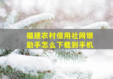 福建农村信用社网银助手怎么下载到手机