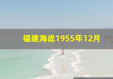 福建海战1955年12月