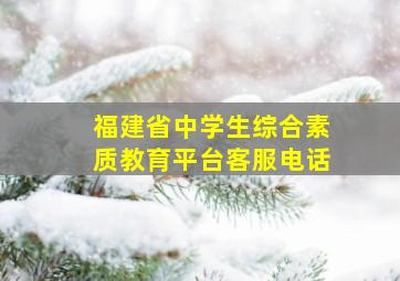 福建省中学生综合素质教育平台客服电话