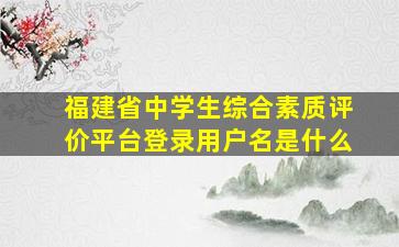 福建省中学生综合素质评价平台登录用户名是什么