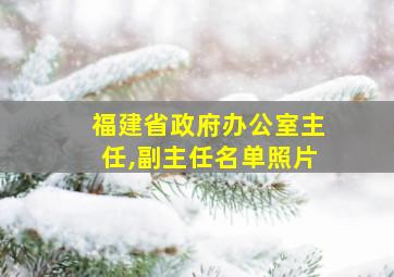 福建省政府办公室主任,副主任名单照片