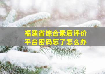 福建省综合素质评价平台密码忘了怎么办