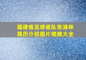 福建省足球省队张清林简历介绍图片视频大全