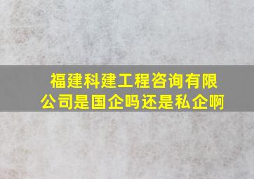 福建科建工程咨询有限公司是国企吗还是私企啊