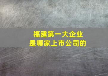 福建第一大企业是哪家上市公司的