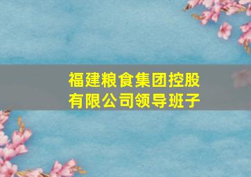 福建粮食集团控股有限公司领导班子