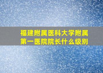 福建附属医科大学附属第一医院院长什么级别