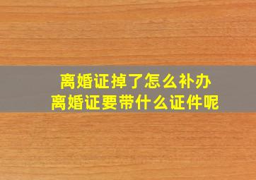 离婚证掉了怎么补办离婚证要带什么证件呢