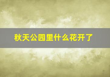 秋天公园里什么花开了