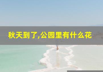 秋天到了,公园里有什么花