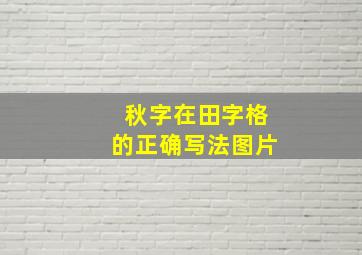 秋字在田字格的正确写法图片